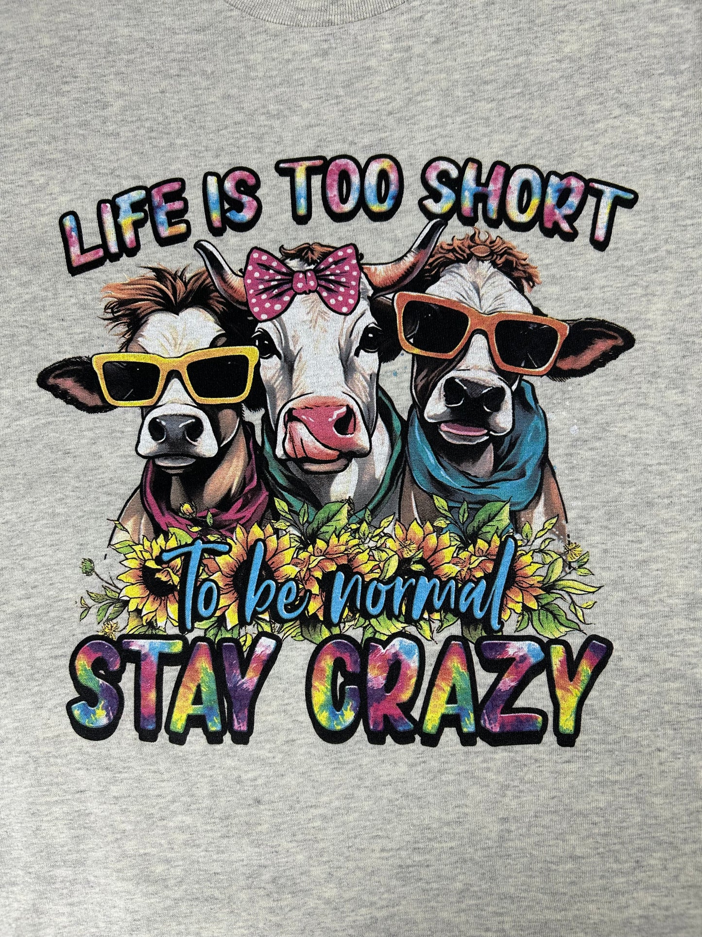 Life's Too Short, Stay Crazy T-Shirt