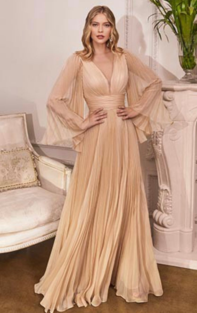 NR CD242 Champagne Pleated Chiffon Long Sleeve Gown