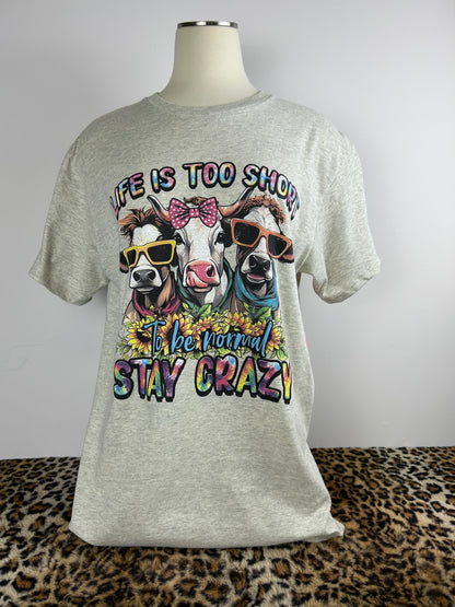 Life's Too Short, Stay Crazy T-Shirt