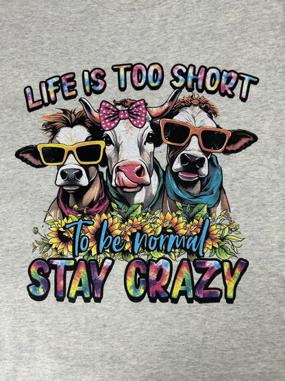 Life's Too Short, Stay Crazy T-Shirt