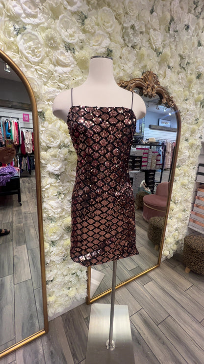 Brianna Sequin Mini Dress