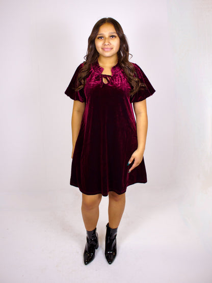Puff Sleeve Velvet Dress