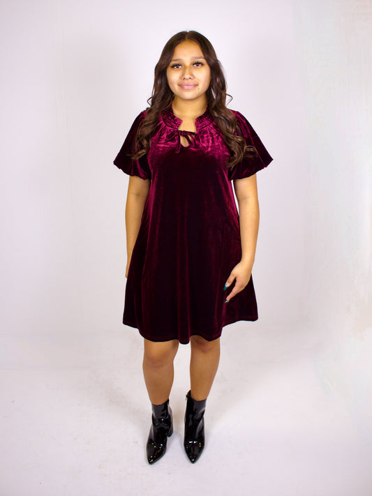 Puff Sleeve Velvet Dress
