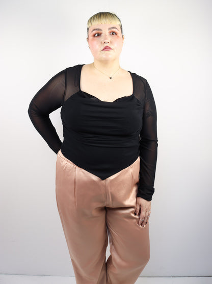 Sheer Cropped Long Sleeve Top