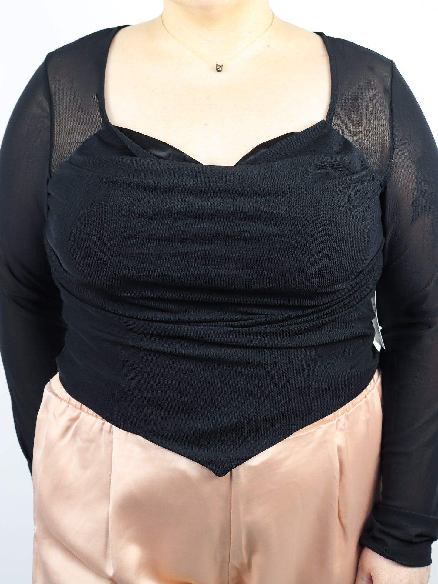 Sheer Cropped Long Sleeve Top