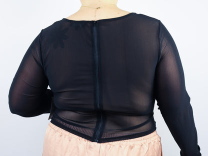Sheer Cropped Long Sleeve Top
